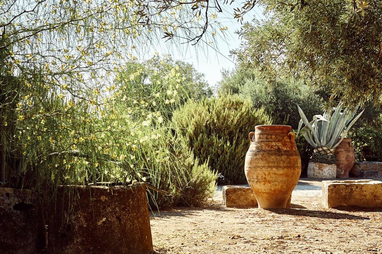 Aegina Nikolaou Art Residence מראה חיצוני תמונה