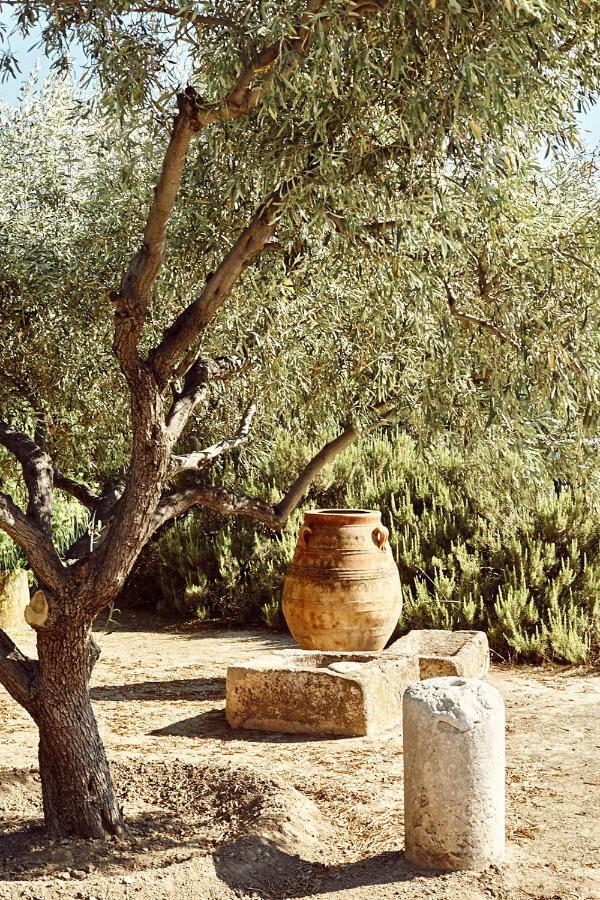 Aegina Nikolaou Art Residence מראה חיצוני תמונה