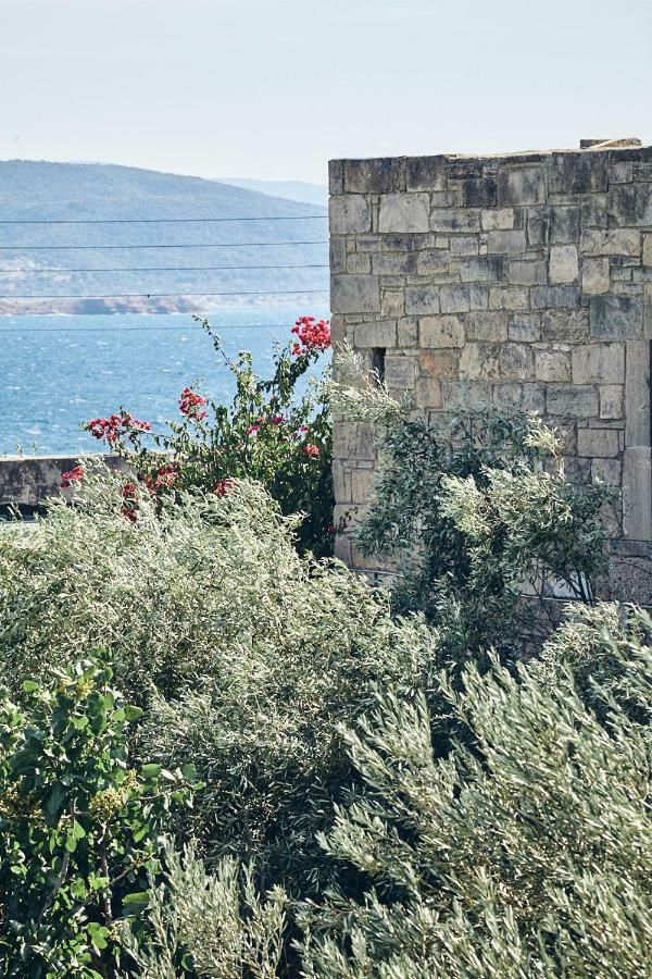 Aegina Nikolaou Art Residence מראה חיצוני תמונה
