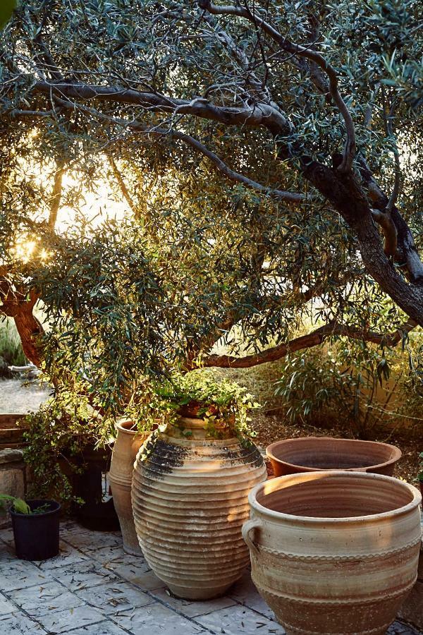 Aegina Nikolaou Art Residence מראה חיצוני תמונה