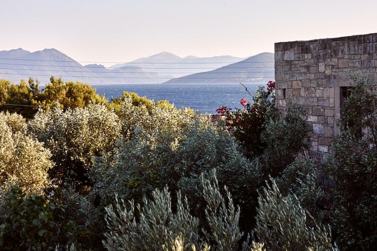 Aegina Nikolaou Art Residence מראה חיצוני תמונה