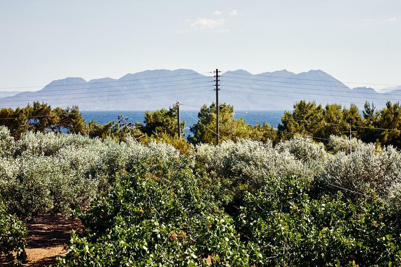 Aegina Nikolaou Art Residence מראה חיצוני תמונה